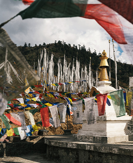About Us