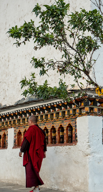 Himalayan Whispers Travel
