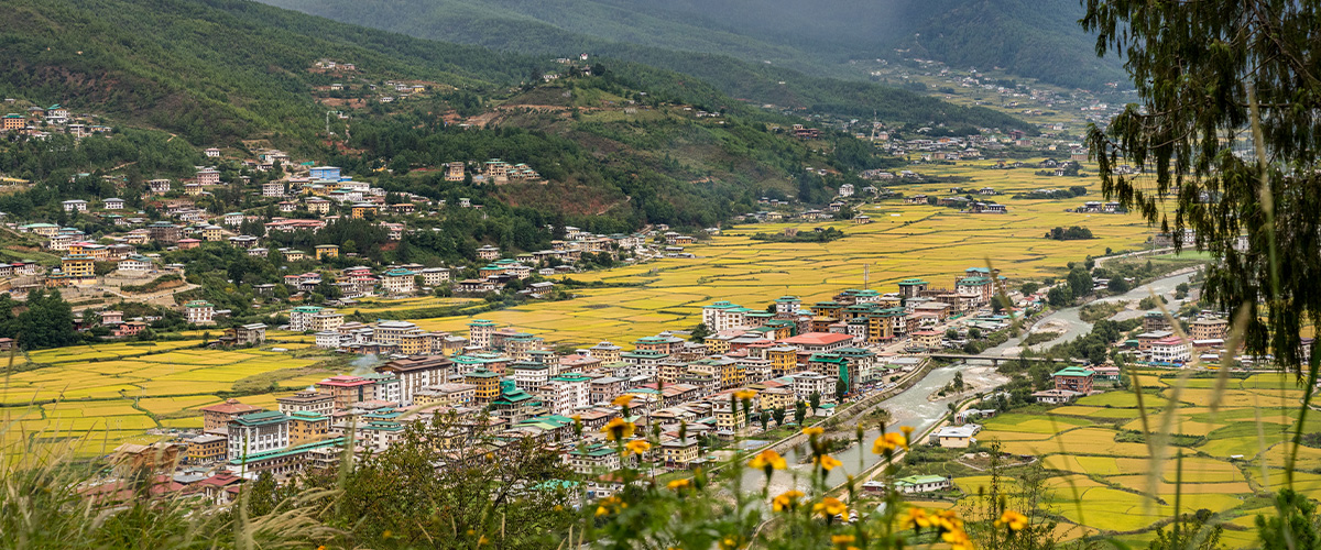 Paro