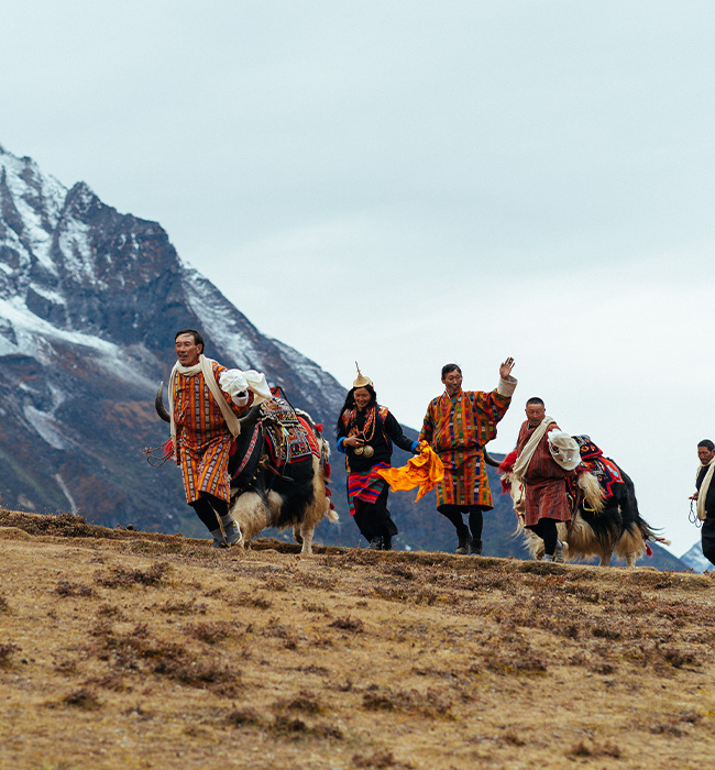 Adventure Tours