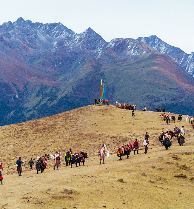 Group Tours